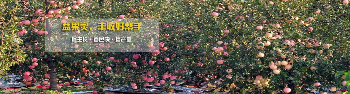 關(guān)于我們 關(guān)于我們